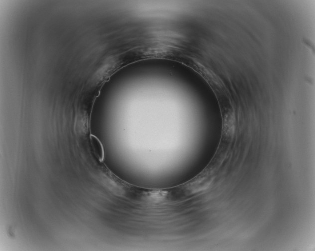 X0000099320474200805021317