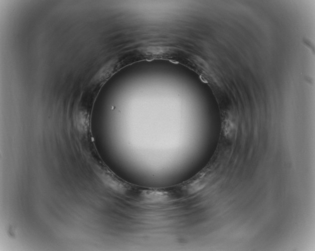 X0000099320476200805021317