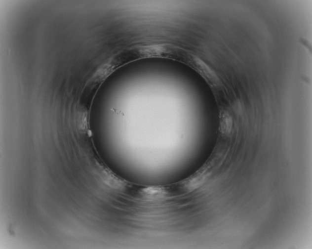 X0000099320477200805021317