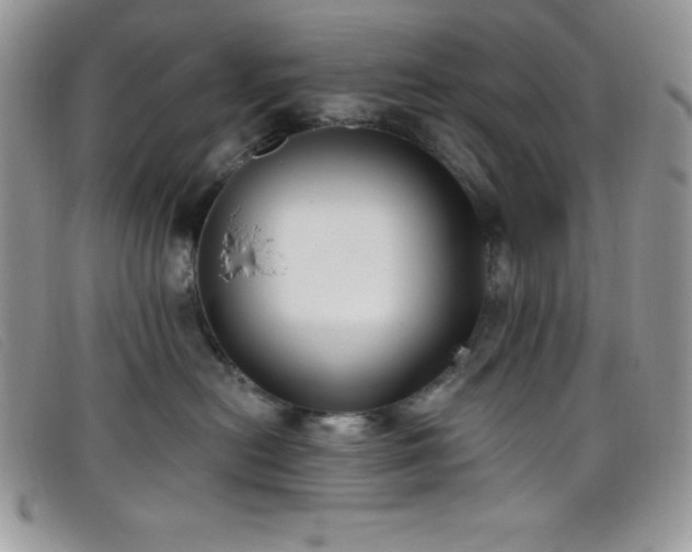 X0000099320478200805021317