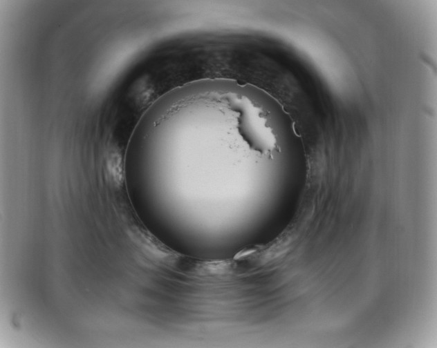 X0000099320479200805021317