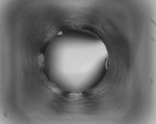 X0000099320480200805021317