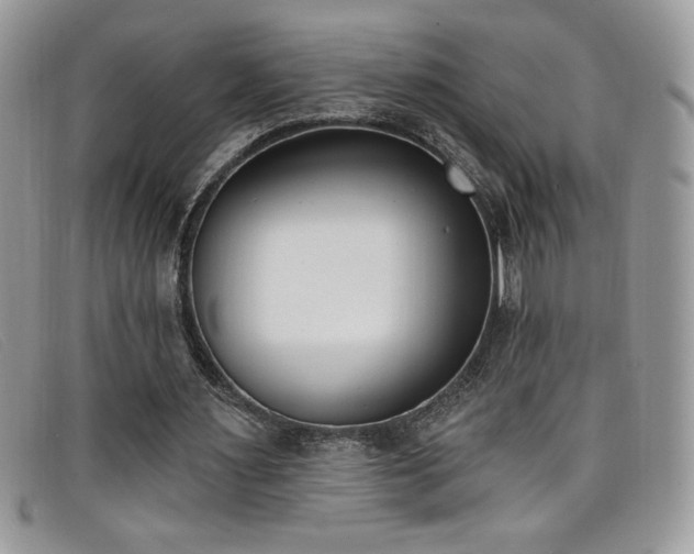 X0000099320483200805021316