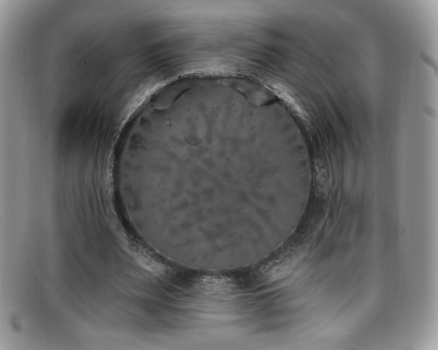 X0000099320487200805021316