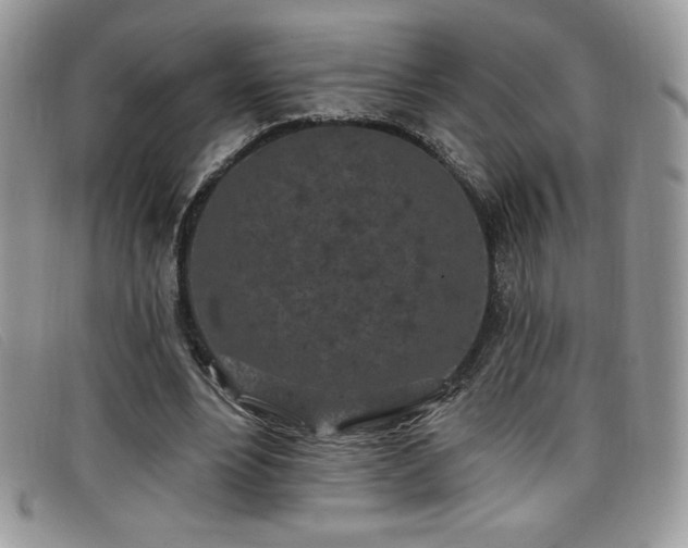 X0000099320488200805021316