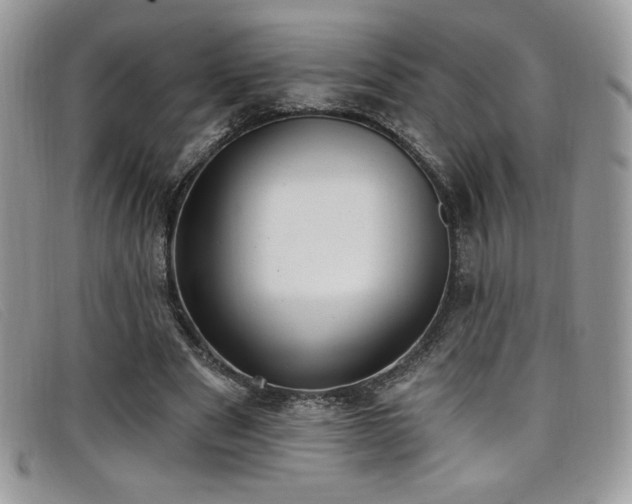 X0000099320489200805021316