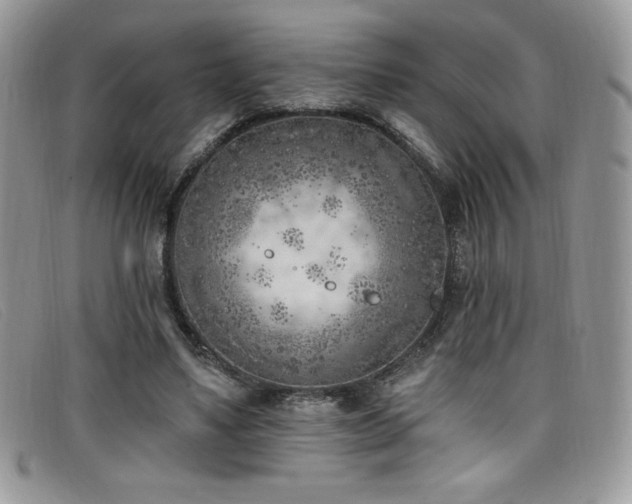 X0000099320491200805021316