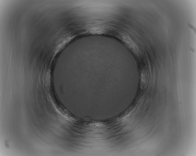 X0000099320492200805021316