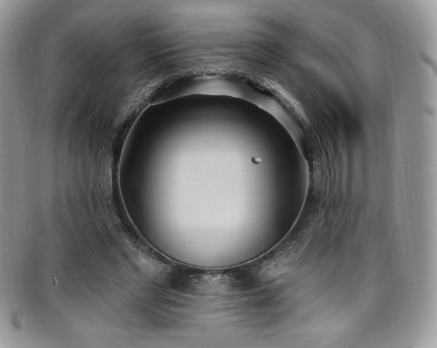 X0000099320493200805021316