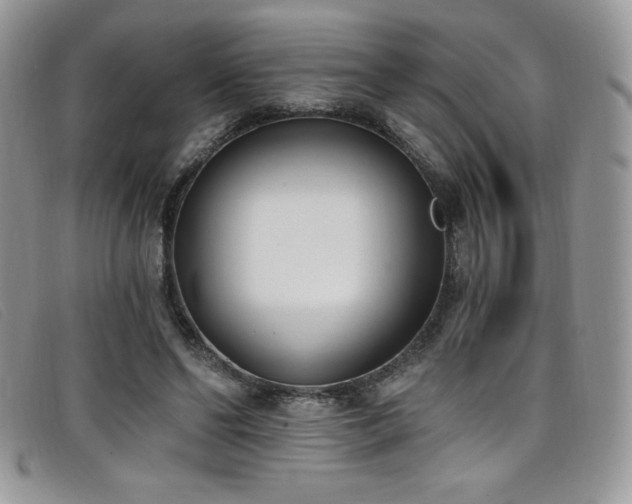 X0000099320494200805021316