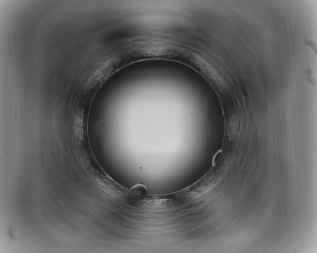 X0000099320497200805021316