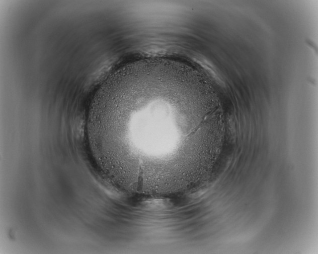 X0000099320499200805021316