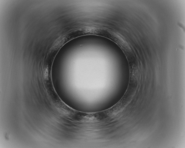 X0000099320502200805021316