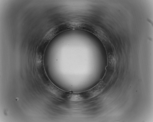 X0000099320507200805021316