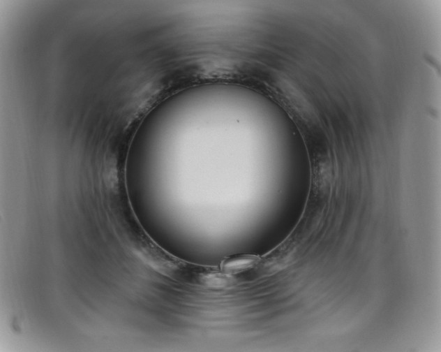 X0000099320508200805021316