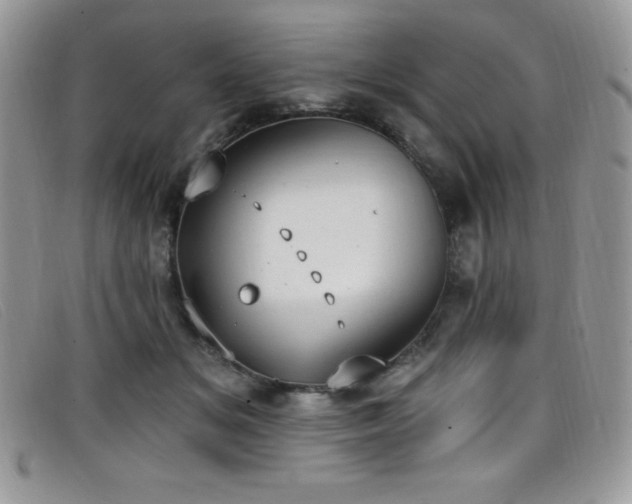 X0000099320509200805021316