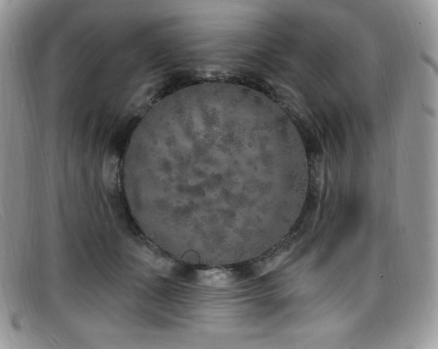 X0000099320511200805021316