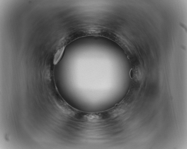 X0000099320512200805021316