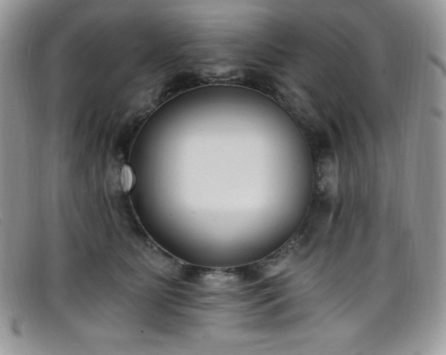 X0000099320515200805021316