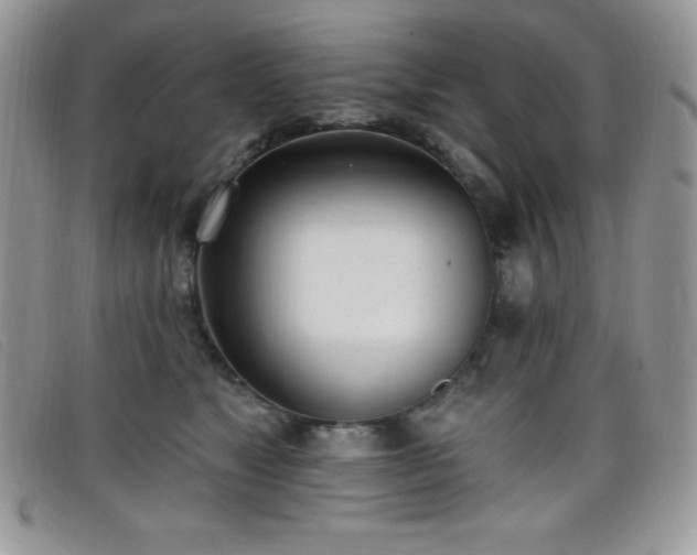 X0000099320517200805021316