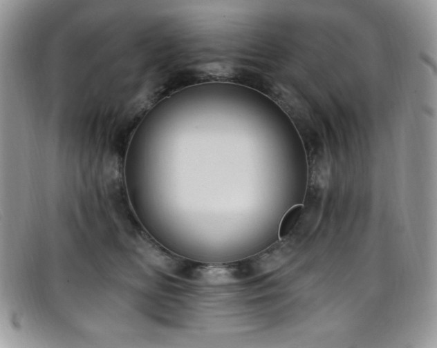 X0000099320518200805021316