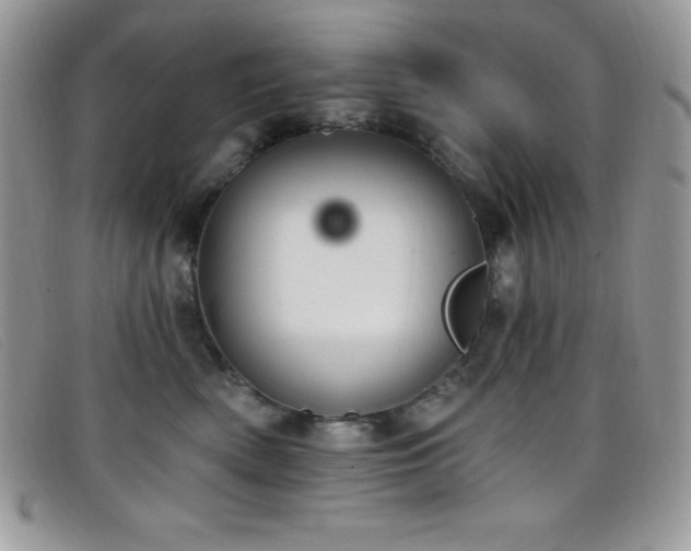 X0000099320522200805021316