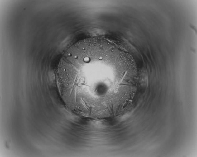 X0000099320523200805021316