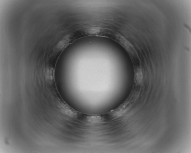 X0000099320525200805021316