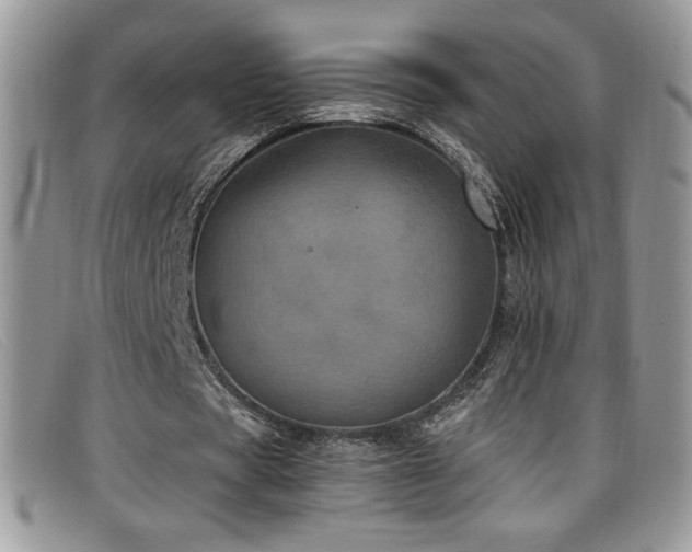 X0000099320529200805021315
