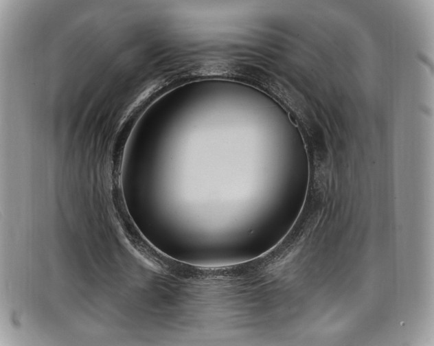 X0000099320530200805021315