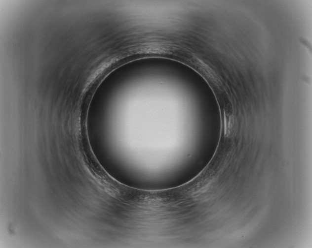 X0000099320531200805021315