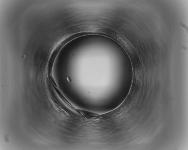 X0000099320532200805021315