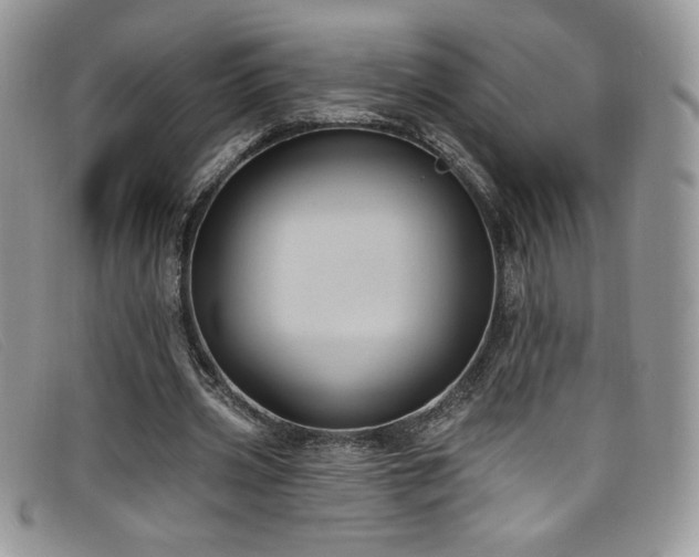 X0000099320533200805021315