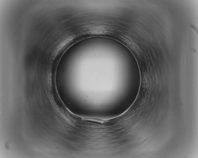 X0000099320535200805021315