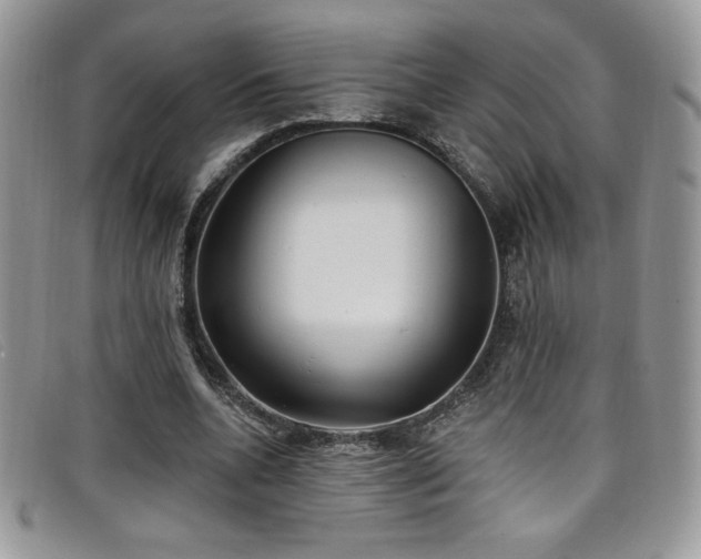 X0000099320536200805021315