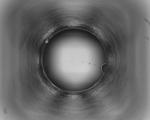 X0000099320539200805021315