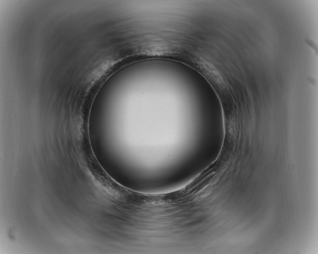 X0000099320540200805021315