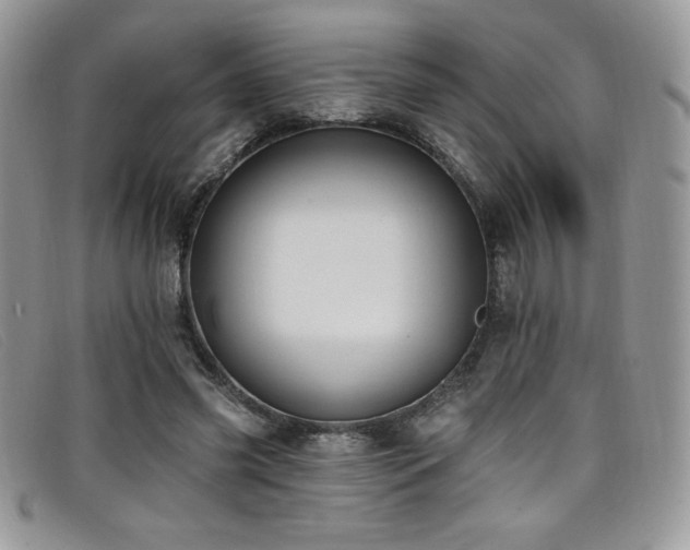 X0000099320541200805021315