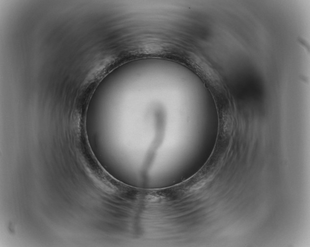 X0000099320542200805021315