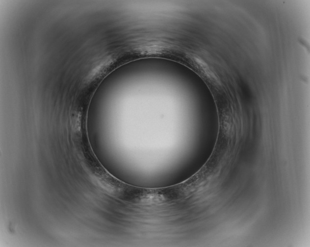 X0000099320543200805021315