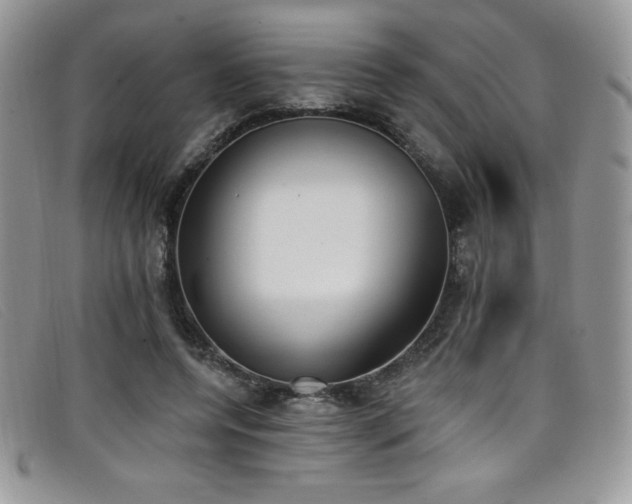 X0000099320544200805021315