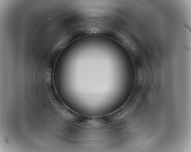 X0000099320545200805021315