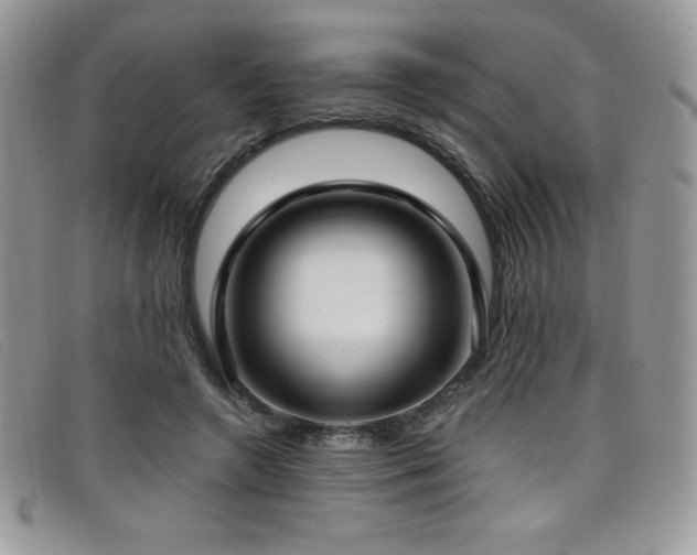 X0000099320546200805021315