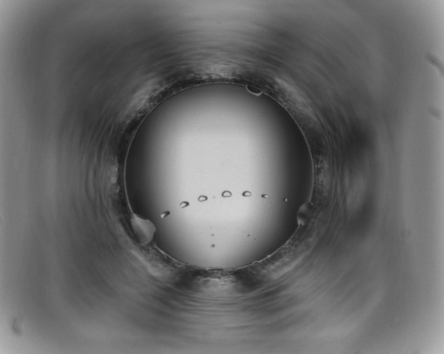 X0000099320548200805021315