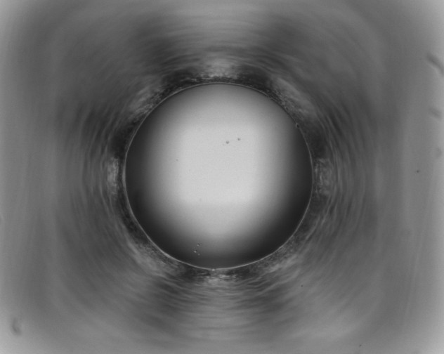 X0000099320550200805021315