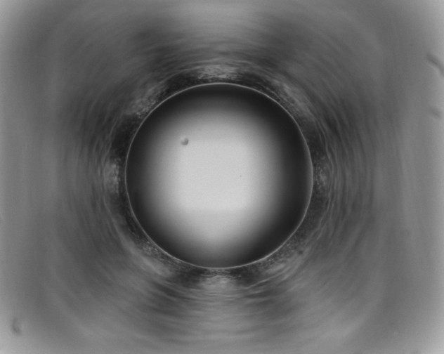 X0000099320551200805021315