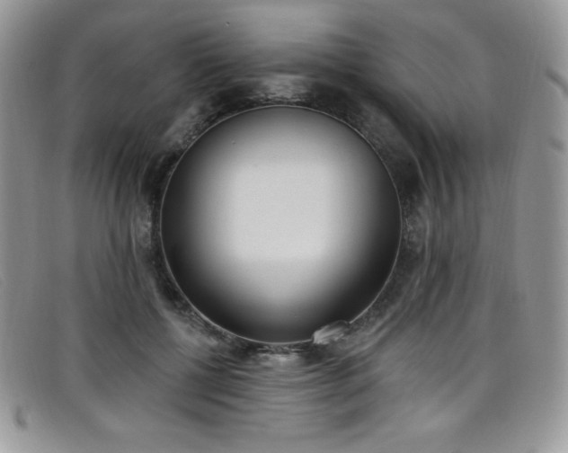 X0000099320552200805021315