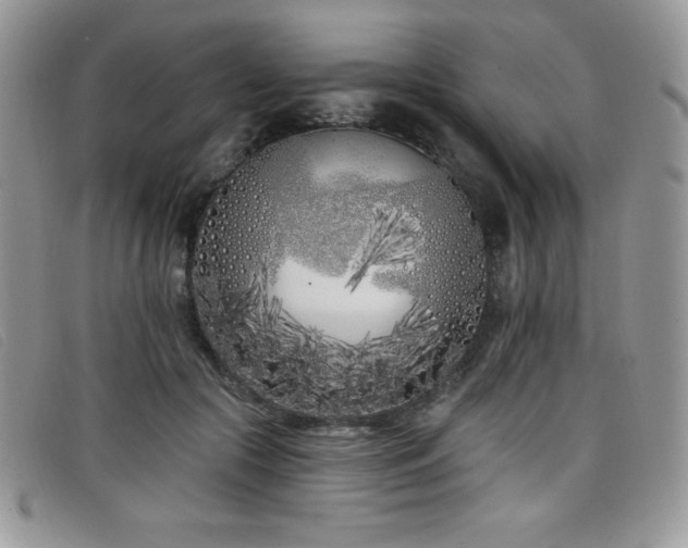 X0000099320553200805021316