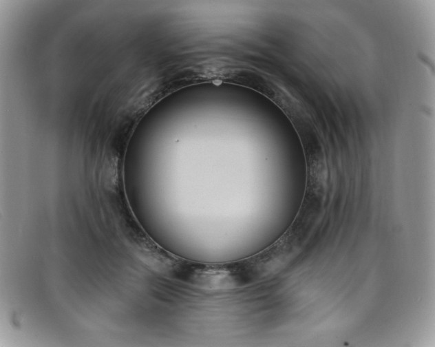 X0000099320554200805021316