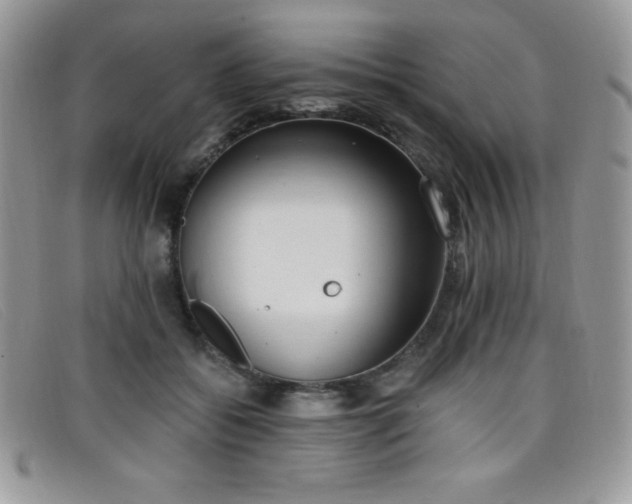 X0000099320556200805021316